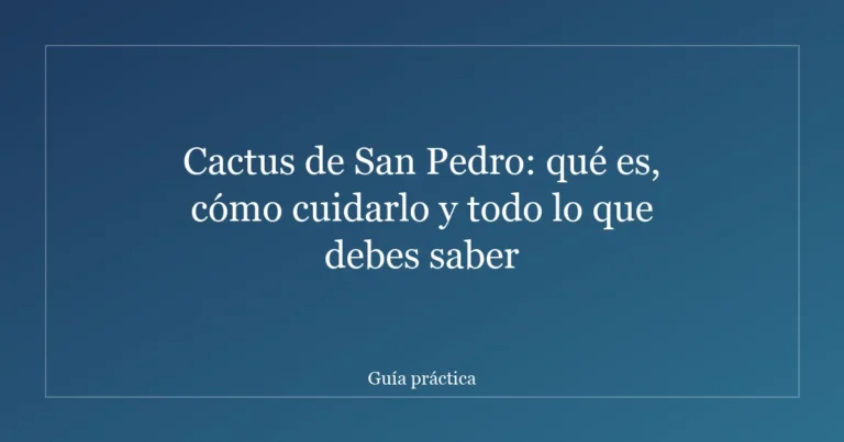 Cactus de San Pedro: qué es, cómo cuidarlo y todo lo que debes saber
