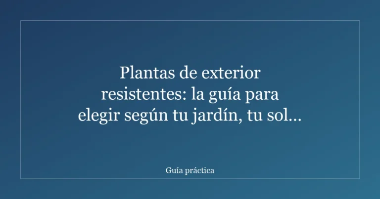 Plantas de exterior resistentes: la guía para elegir según tu jardín, tu sol y tu tiempo