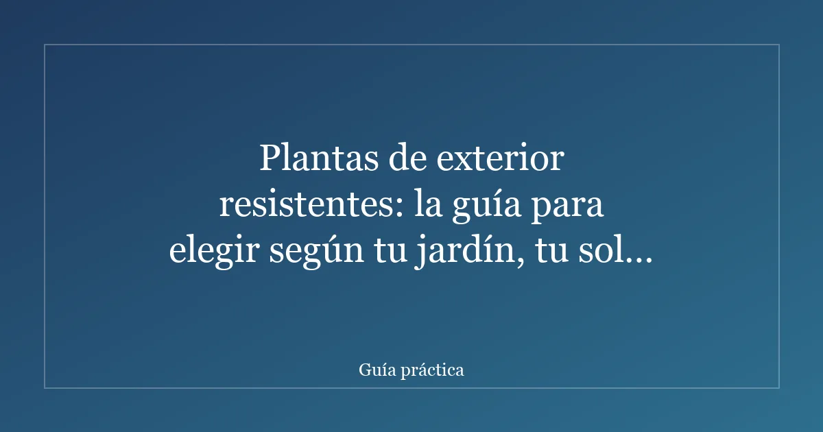 Plantas de exterior resistentes: la guía para elegir según tu jardín, tu sol y tu tiempo