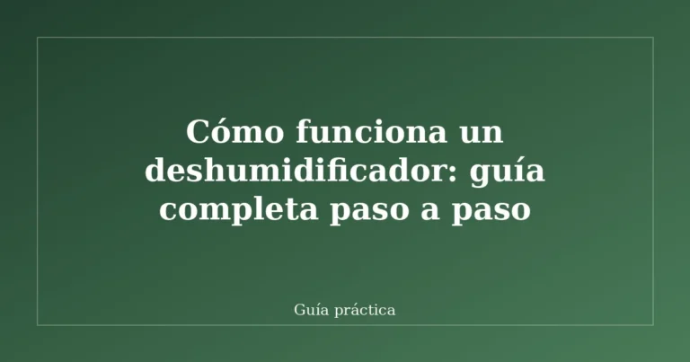 Cómo funciona un deshumidificador: guía completa paso a paso