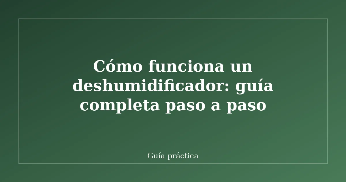 Cómo funciona un deshumidificador: guía completa paso a paso