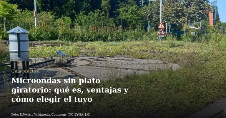Microondas sin plato giratorio: qué es, ventajas y cómo elegir el tuyo