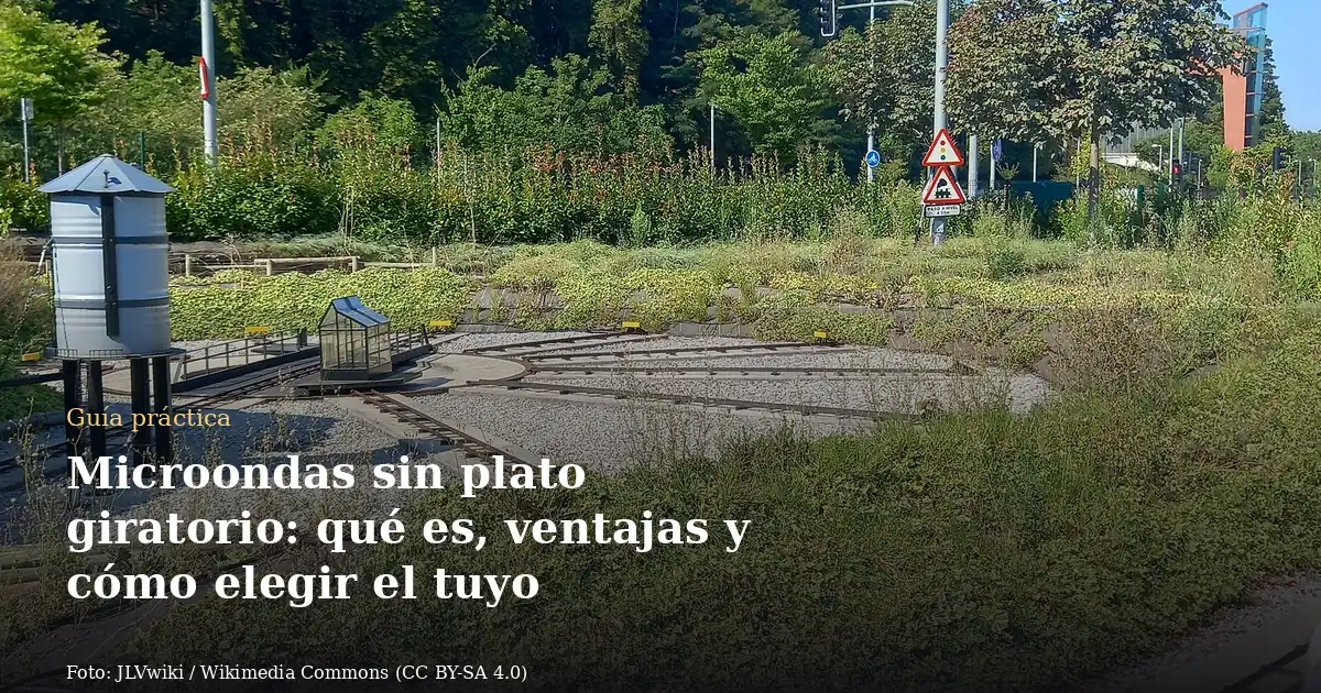 Microondas sin plato giratorio: qué es, ventajas y cómo elegir el tuyo