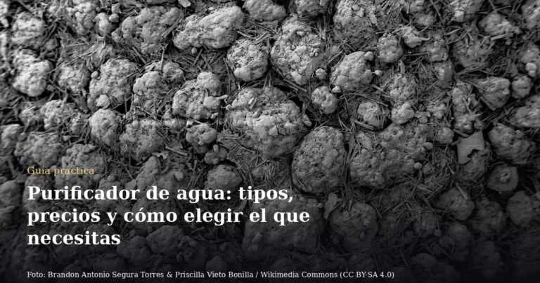 Purificador de agua: tipos, precios y cómo elegir el que necesitas