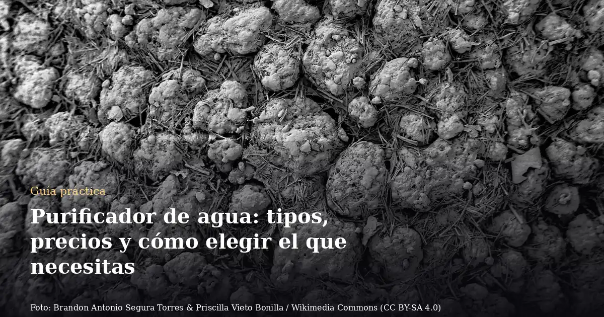 Purificador de agua: tipos, precios y cómo elegir el que necesitas
